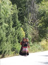 by krodin, Views[369]