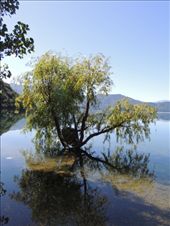 Bay of the Goddess: by krodin, Views[367]