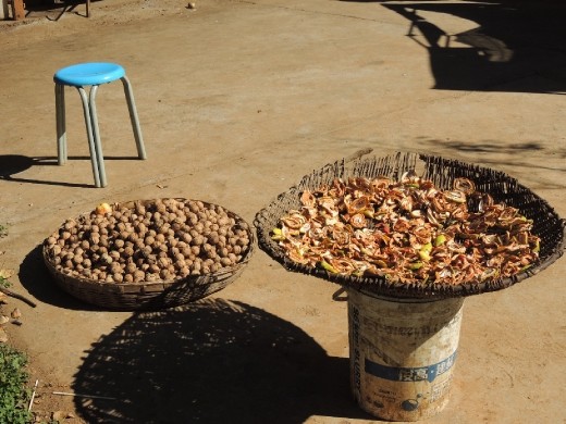 Dried apples and walnuts