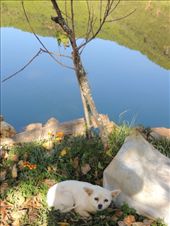 Bay of the Goddess reflections: by krodin, Views[428]