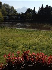 by krodin, Views[478]