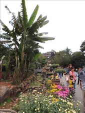 by krodin, Views[468]