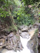 by krodin, Views[393]