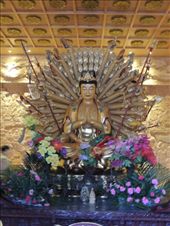 by krodin, Views[397]