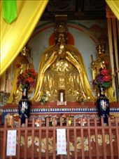 by krodin, Views[455]