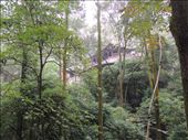 by krodin, Views[421]
