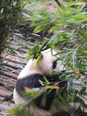 by krodin, Views[407]