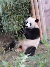 by krodin, Views[429]