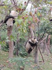 by krodin, Views[321]