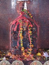 by krodin, Views[425]