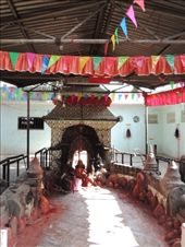 by krodin, Views[748]