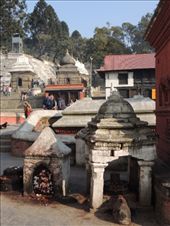 by krodin, Views[382]