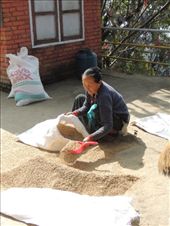 by krodin, Views[401]