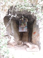 by krodin, Views[420]