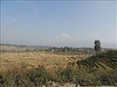 by krodin, Views[407]