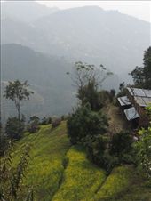 by krodin, Views[431]