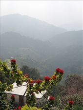 by krodin, Views[375]