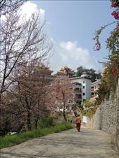 by krodin, Views[572]