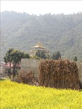 by krodin, Views[387]