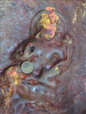 by krodin, Views[288]