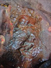 by krodin, Views[355]