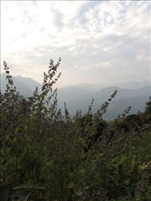 by krodin, Views[429]