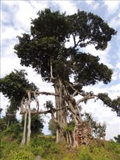 by krodin, Views[615]