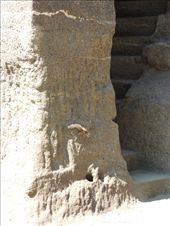 by krodin, Views[401]