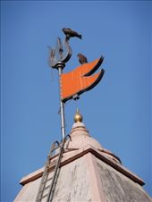 by krodin, Views[435]