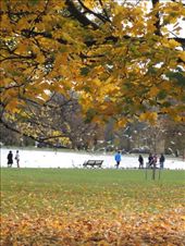 by krodin, Views[409]