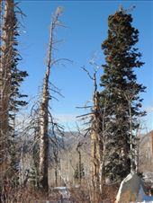 by krodin, Views[399]