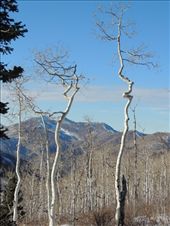 by krodin, Views[335]