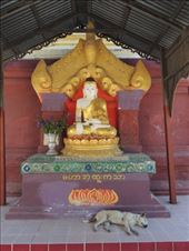 by krodin, Views[291]