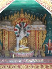 by krodin, Views[144]