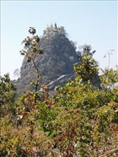 by krodin, Views[442]