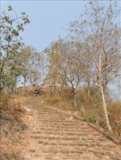 by krodin, Views[399]