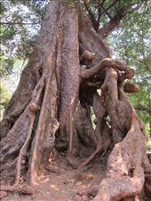 by krodin, Views[318]