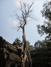 by krodin, Views[392]