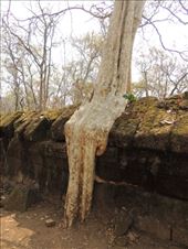 by krodin, Views[420]