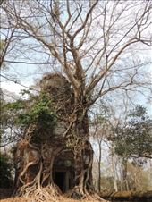 by krodin, Views[397]