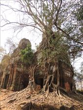 by krodin, Views[439]