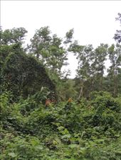 by krodin, Views[351]