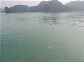 by krodin, Views[444]