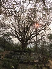 by krodin, Views[374]