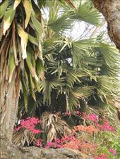 by krodin, Views[497]