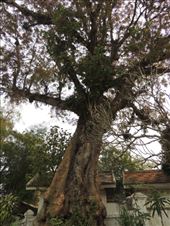 by krodin, Views[488]