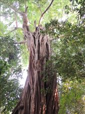 by krodin, Views[323]