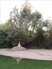 by krodin, Views[412]