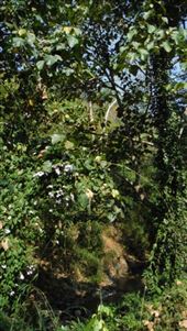 by krodin, Views[425]