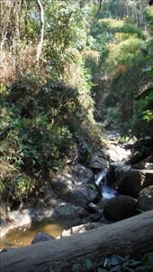 by krodin, Views[425]